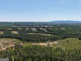0 Bishop Loop Road - Photo 11