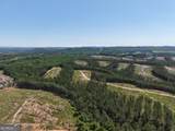 0 Bishop Loop Road - Photo 13