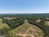 0 Bishop Loop Road - Photo 15