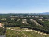 0 Bishop Loop Road - Photo 16