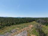 0 Bishop Loop Road - Photo 4