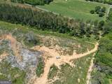 0 Bishop Loop Road - Photo 42