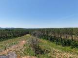 0 Bishop Loop Road - Photo 5