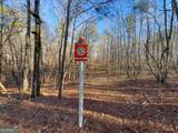 12 +/- Acres On George Green Rd. Tract B - Photo 11
