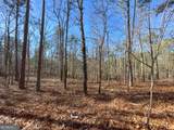 12 +/- Acres On George Green Rd. Tract B - Photo 15