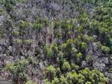 12 +/- Acres On George Green Rd. Tract B - Photo 18
