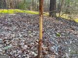 12 +/- Acres On George Green Rd. Tract B - Photo 19