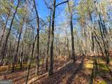 12 +/- Acres On George Green Rd. Tract B - Photo 5