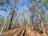 12 +/- Acres On George Green Rd. Tract B - Photo 9