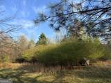 0 Skelton Road - Photo 4