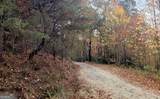 43.91 Old Burnt Mountain Road - Photo 11
