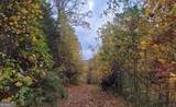 43.91 Old Burnt Mountain Road - Photo 4