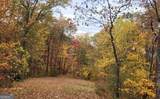 43.91 Old Burnt Mountain Road - Photo 5