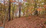43.91 Old Burnt Mountain Road - Photo 9
