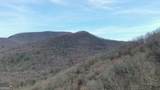 0 LOTS 9 & 9A Wild Bird - Photo 11