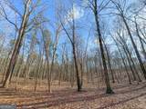 39 Acres On E. Teloga Road - Photo 8