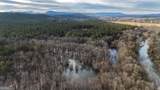 557 Acres On Taliaferro Springs Road - Photo 11
