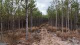 557 Acres On Taliaferro Springs Road - Photo 5