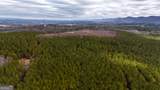 557 Acres On Taliaferro Springs Road - Photo 6