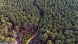 557 Acres On Taliaferro Springs Road - Photo 7