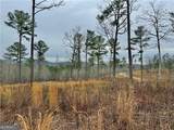 347 Timbercreek Trail - Photo 1