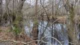 5230 Coleman Bridge Spur - Photo 8