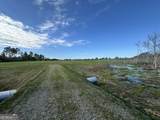 1334 Shady Lane - Photo 31