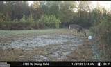 1334 Shady Lane - Photo 38