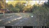 1334 Shady Lane - Photo 39