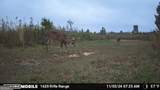1334 Shady Lane - Photo 42