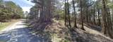 3 WEST Dry Pond Road - Photo 6