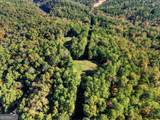523 Long Branch Road - Photo 50