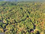 523 Long Branch Road - Photo 54