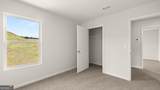 67 Cyrilla Walk - Photo 24