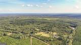 54+/- ACRES Joyner Oglesby Road - Photo 18