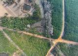 54+/- ACRES Joyner Oglesby Road - Photo 3