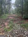 0 Nails Creek Crossing - Photo 10