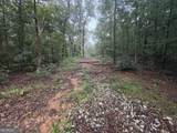 0 Nails Creek Crossing - Photo 11