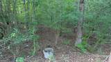 1628 Norris Landing Drive - Photo 3