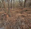 0 White Pine Court - Photo 3