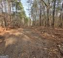 0 White Pine Court - Photo 4