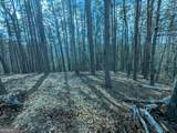 LT 30-31 Eagle Ridge Road - Photo 12