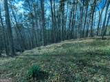 LT 30-31 Eagle Ridge Road - Photo 15