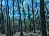 LT 30-31 Eagle Ridge Road - Photo 6