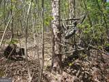 0 Maple Grove Church Road - Photo 11