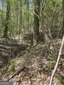 0 Maple Grove Church Road - Photo 3
