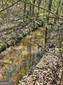 0 Maple Grove Church Road - Photo 4