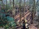 3.38 ACRES Bates Drive - Photo 12