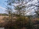 4.12 ACRES Ga Hwy 24 - Photo 14
