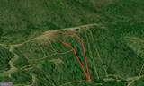 0 Gold Mine Knob - Photo 22